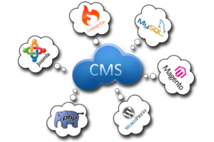 CMS Development Services